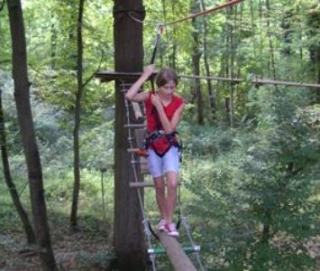  Go beyond your limits in the trees 
